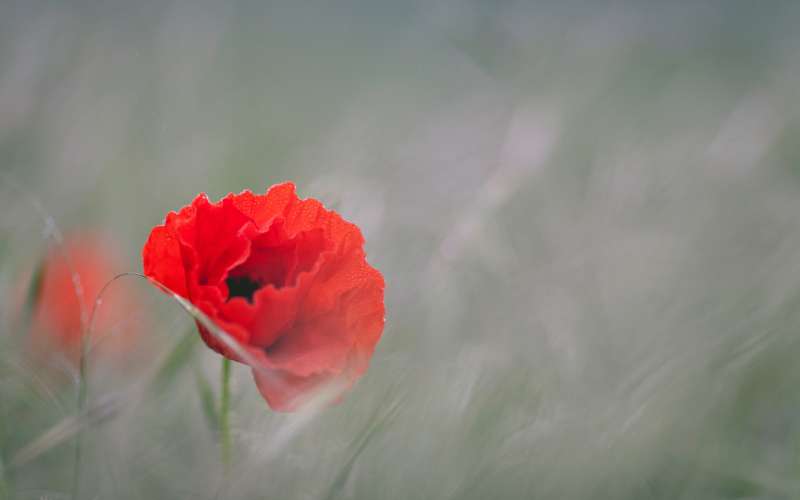 Less Judgment, More Love